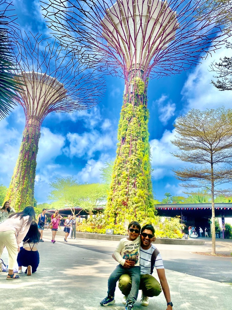 Singapore Gallery 8