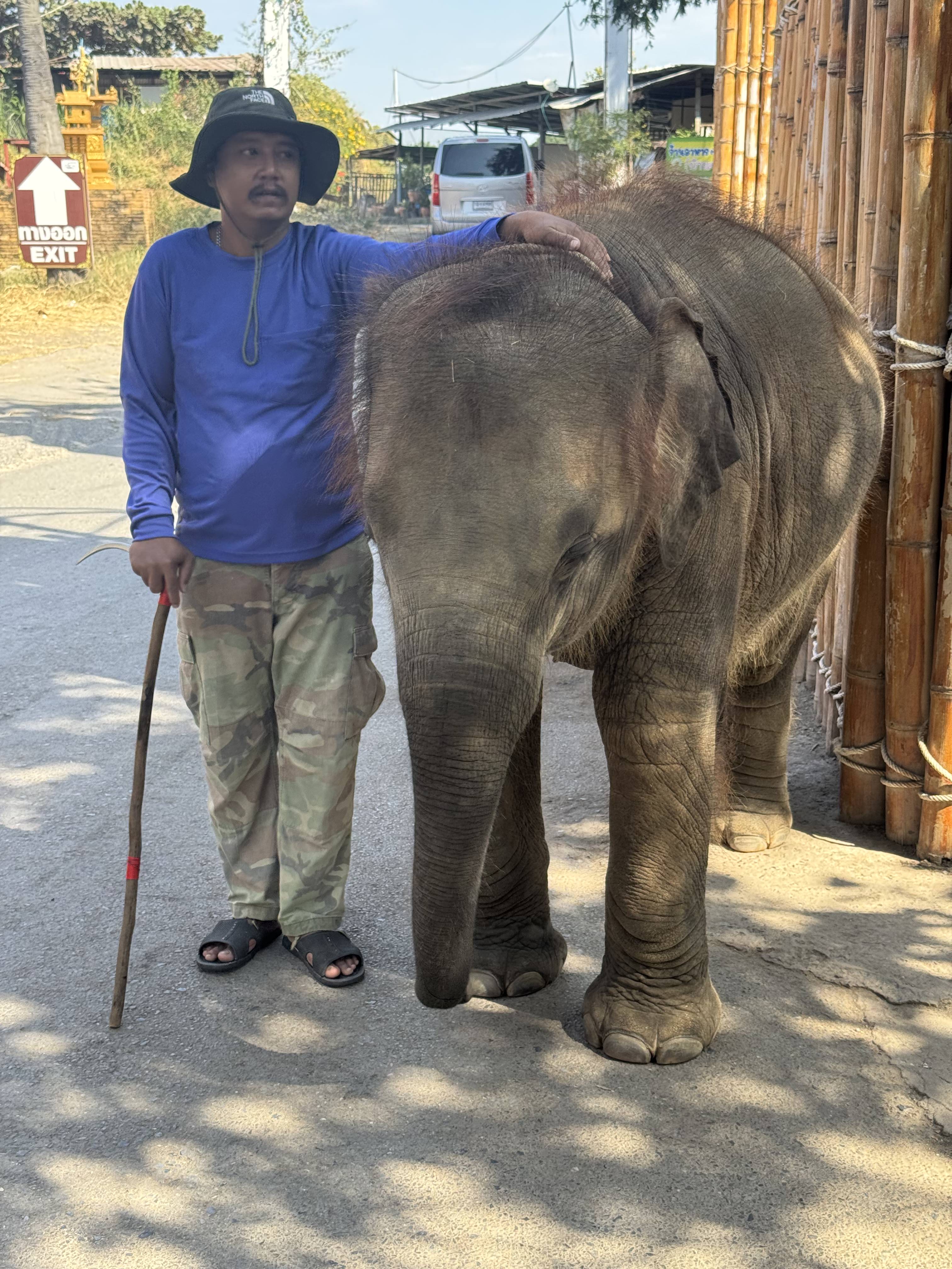 Thailand - Bangkok & Pattaya Gallery 1